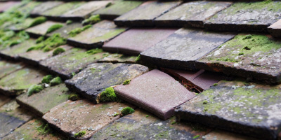 Althorne roof repair costs